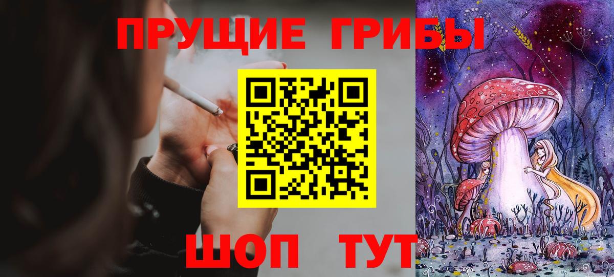 Галлюциногенные грибы Cubensis Москва