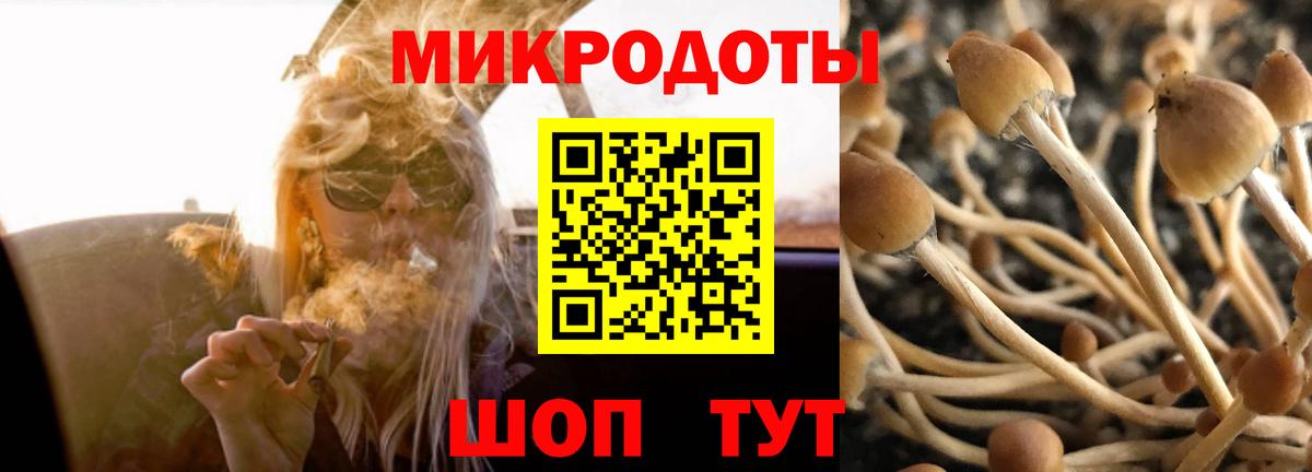Псилоцибиновые грибы GOLDEN TEACHER  Вход с VPN  Москва 